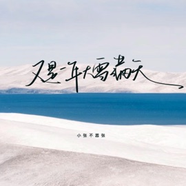 又是一年大雪满天 小张不嚣张