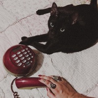 Llama (feat. Buhowhite) - Single - Onebrilla