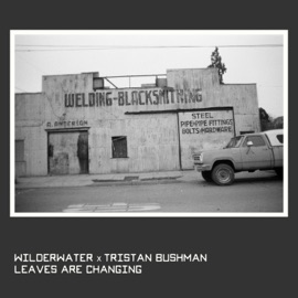 Leaves are Changing (feat. Tristan Bushman) Wilderwater