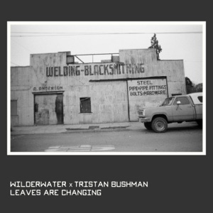 Leaves are Changing (feat. Tristan Bushman) - Single