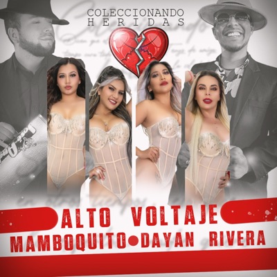 Coleccionando Heridas (feat. Andrés Prado Mamboquito & Dayan Rivera) - Single