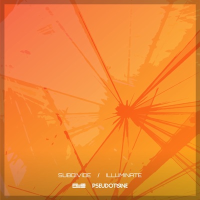 Subdivide/Illuminate - Single