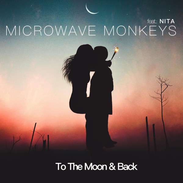 To the Moon & Back (feat. Nita) - Single