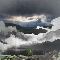 Sapling - Allen Mock