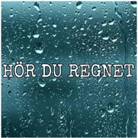 Hör Du Regnet (feat. Johanna Grane) - Single - PMP