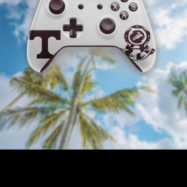 Tarpon Stand Up! Mr. Congo