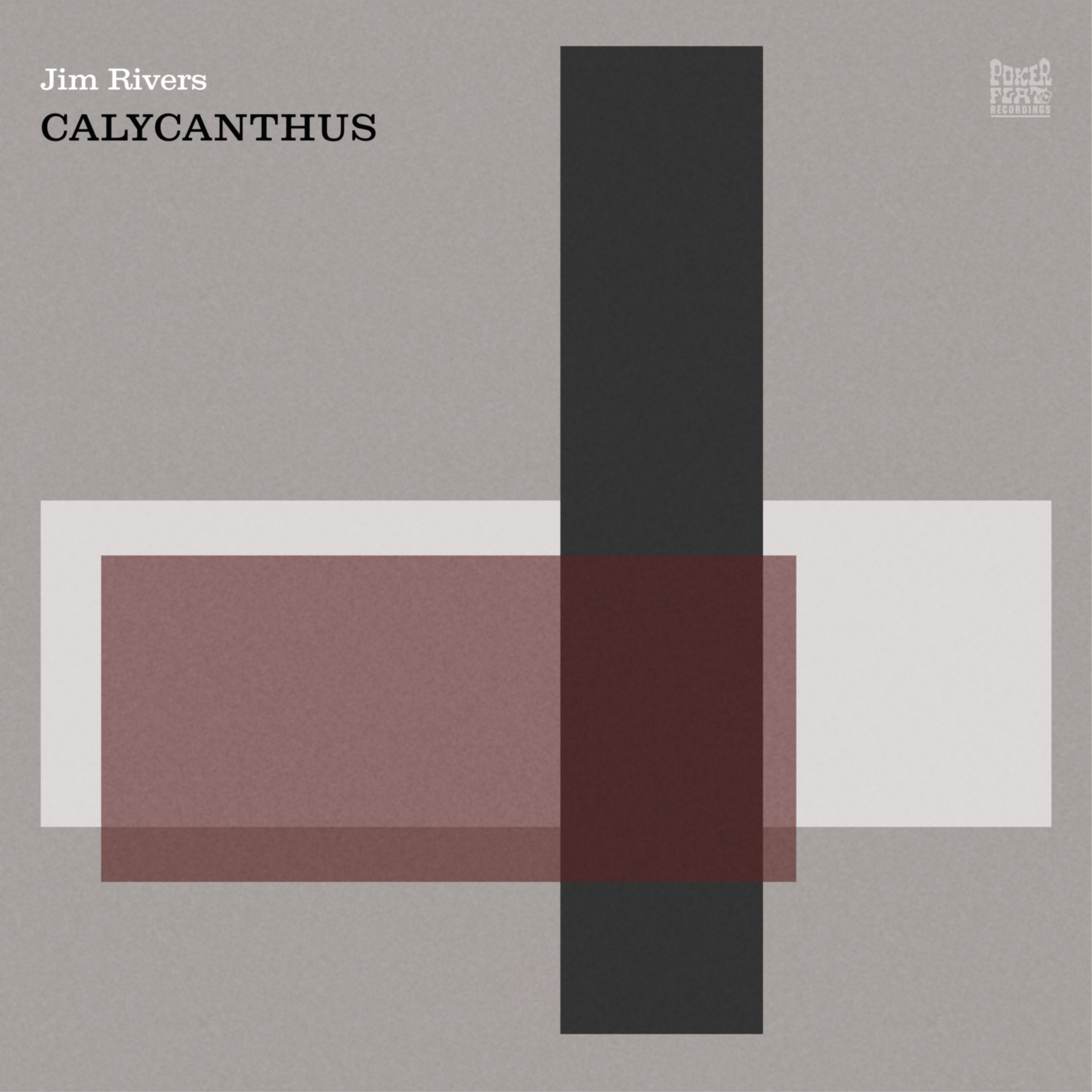 Calycanthus - Single