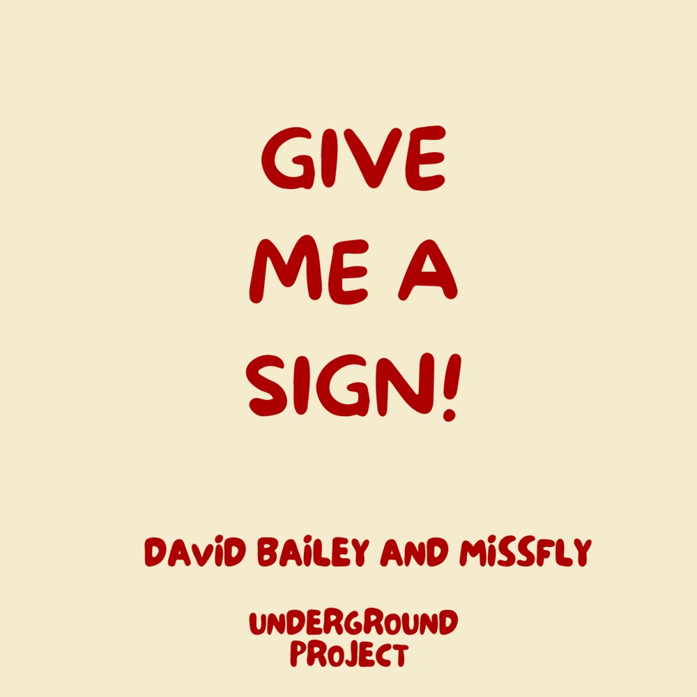 Обложка альбома «Give me a sign! (feat. MissFly) - Single» — David Bailey