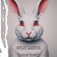 Enemy Inside - Single - SPLIT MINDZ
