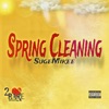 Spring Cleaning - Single