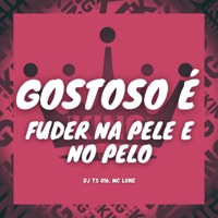 Gostoso É Fuder na Pele e no Pelo - Single - DJ TS 016 & MC LONE