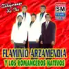 FLAMINIO ARZAMENDIA