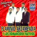 FLAMINIO ARZAMENDIA