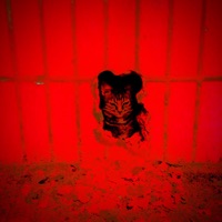 offdawall! - Single - 2lucid