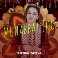 Muhabbat Joq - Single - Nurzida Isayeva