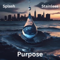 Purpose (feat. Stainless) - Single - Splash