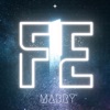 FE