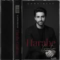 Harabe Gönlüm