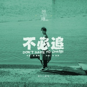 不必追 (电视剧《怪你过分美丽》插曲) - Single