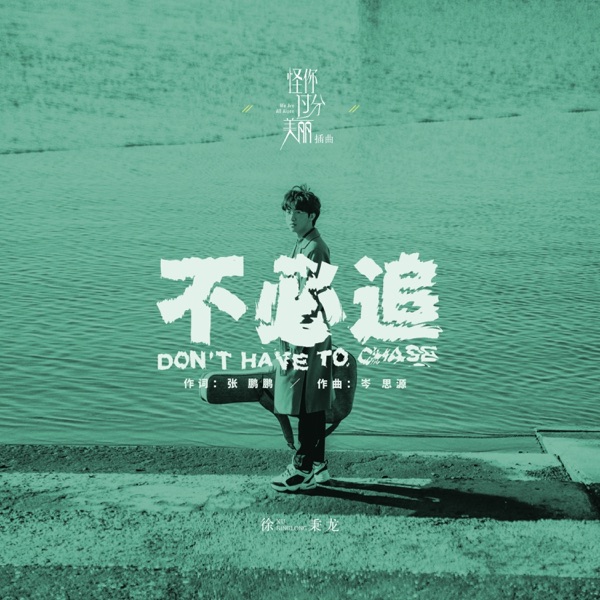 不必追 (电视剧《怪你过分美丽》插曲) - Single