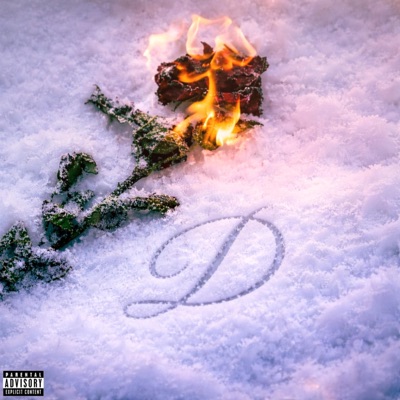 D - Single