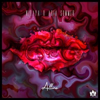 Allure (feat. Aria Summer) - Single - Niraya
