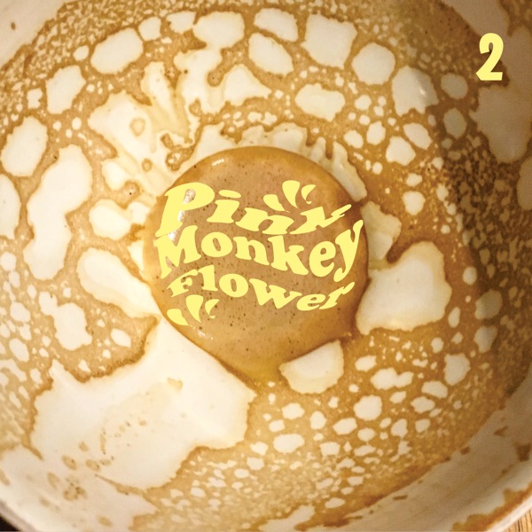 Pink Monkey Flower 2