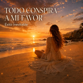 Cover art for Todo Conspira a Mi Favor by Éxito Inevitable