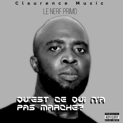 Qu'est ce qui n'a pas marche? (feat. Le Nerf Primo) - Single
