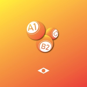 Bingo! - Single