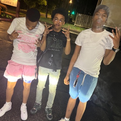 Young & turnt (feat. YLL Hani & Baby Reckless) - Single