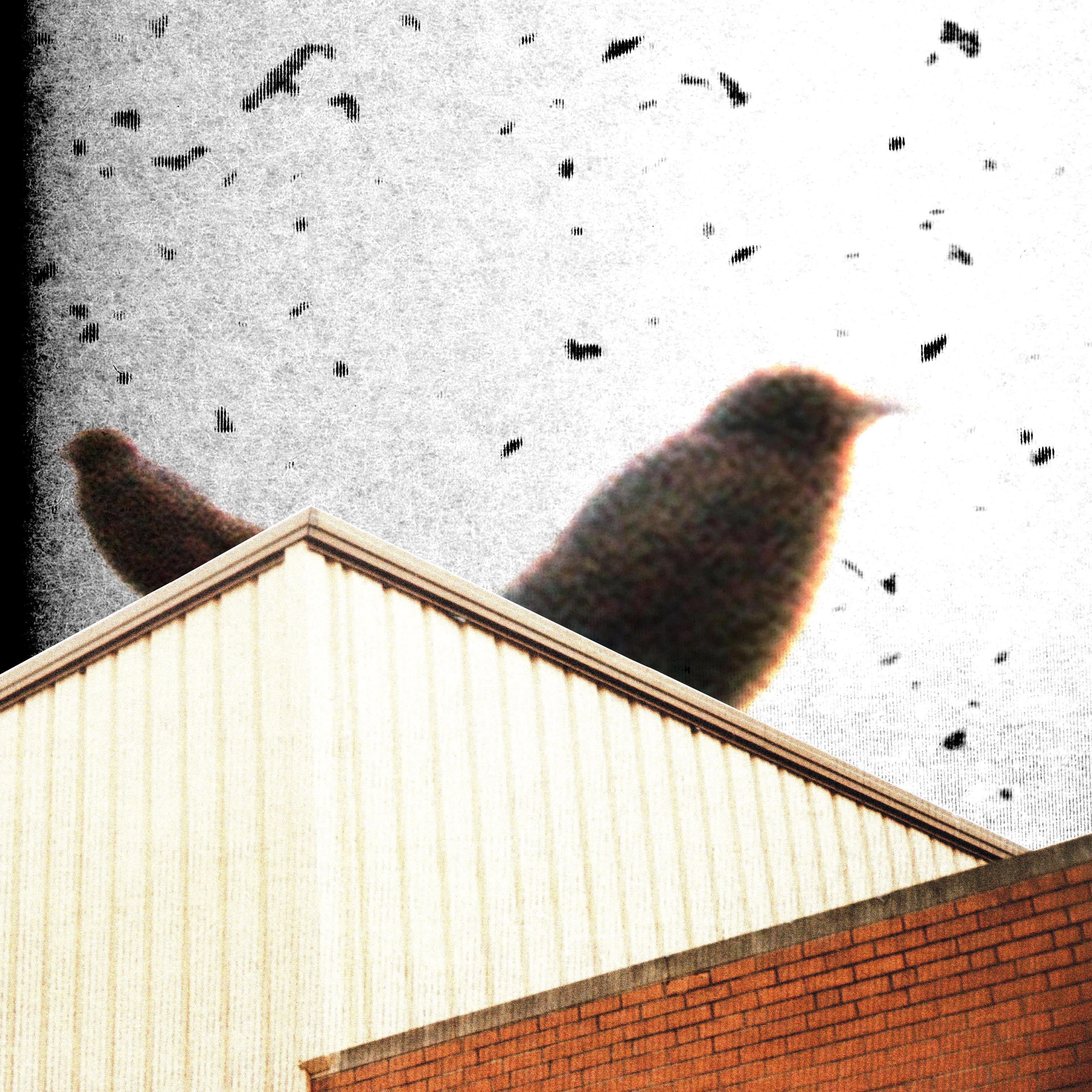 SOUTH SHORE LINE: - Single