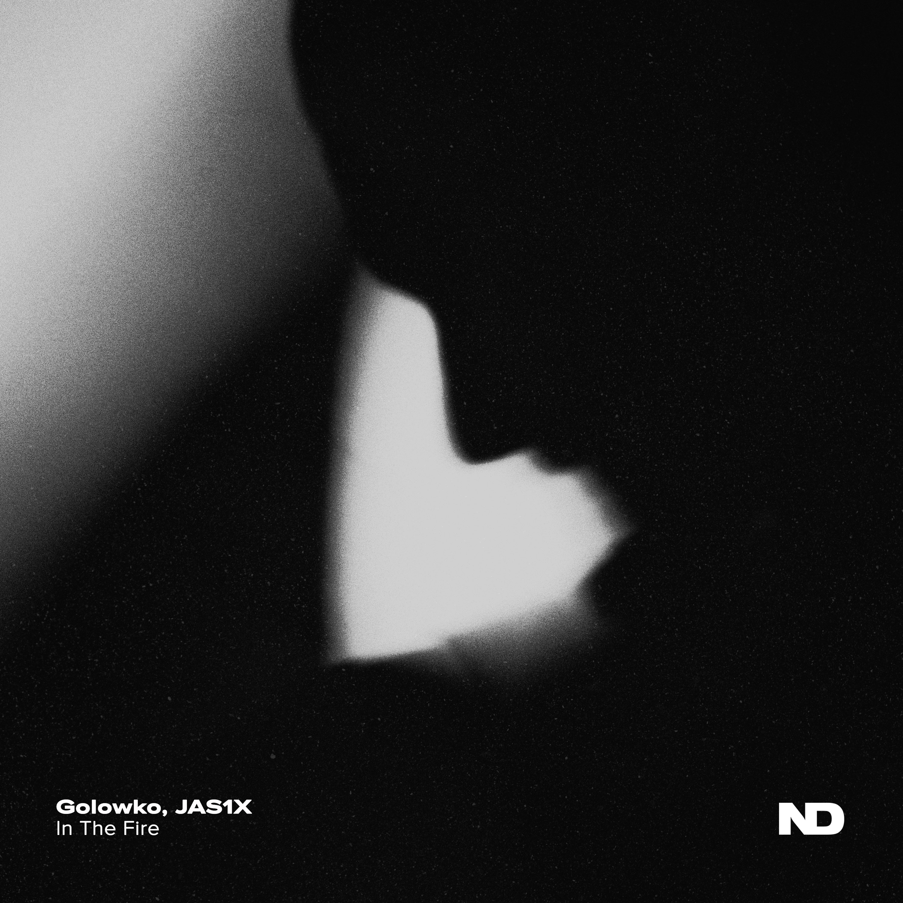 In The Fire - Single