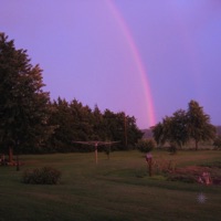 your skin - Single - cinar