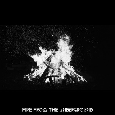 Fire From The Underground (feat. G Meraki, Paul4Peace, Herbal Frequencies & Jimicrakcorn) - Single