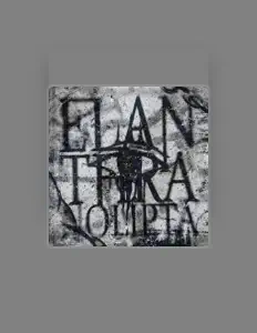 Escucha a Nomura, mira vídeos musicales, lee la biografía, consulta fechas de giras y mucho más.