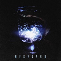 Nesvarbù - Single - OG Version