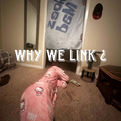 Why We Link - Single
