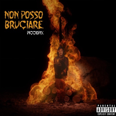 NON POSSO BRUCIARE