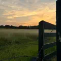 If I called