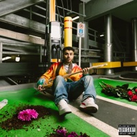 Elon Musk - Single - Jesse Lucas