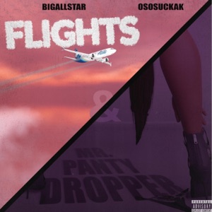 Flights // Mr.P.D (feat. OsosuckaK) - Single