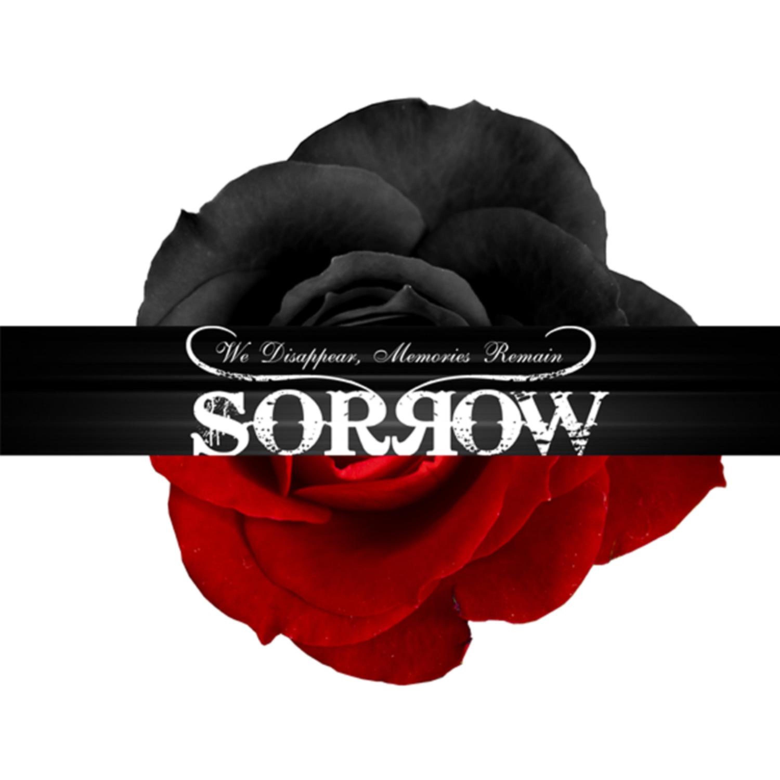 We Disappear, Memories Remain