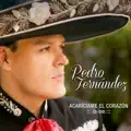 DEBAJO DEL SOMBRERO