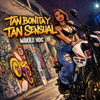 tan bonita y tan sensual - Single - Wakko HDC