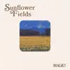 Sunflower Fields