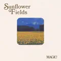 Sunflower Fields