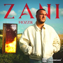 Zani Mozzik