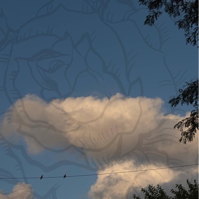 Can I Call You Rose? - Single