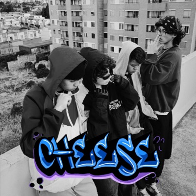 Cheese - Single